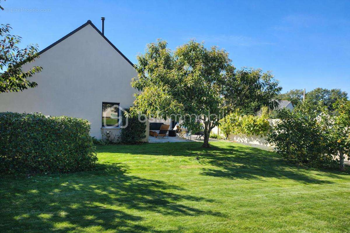 Maison à BELZ