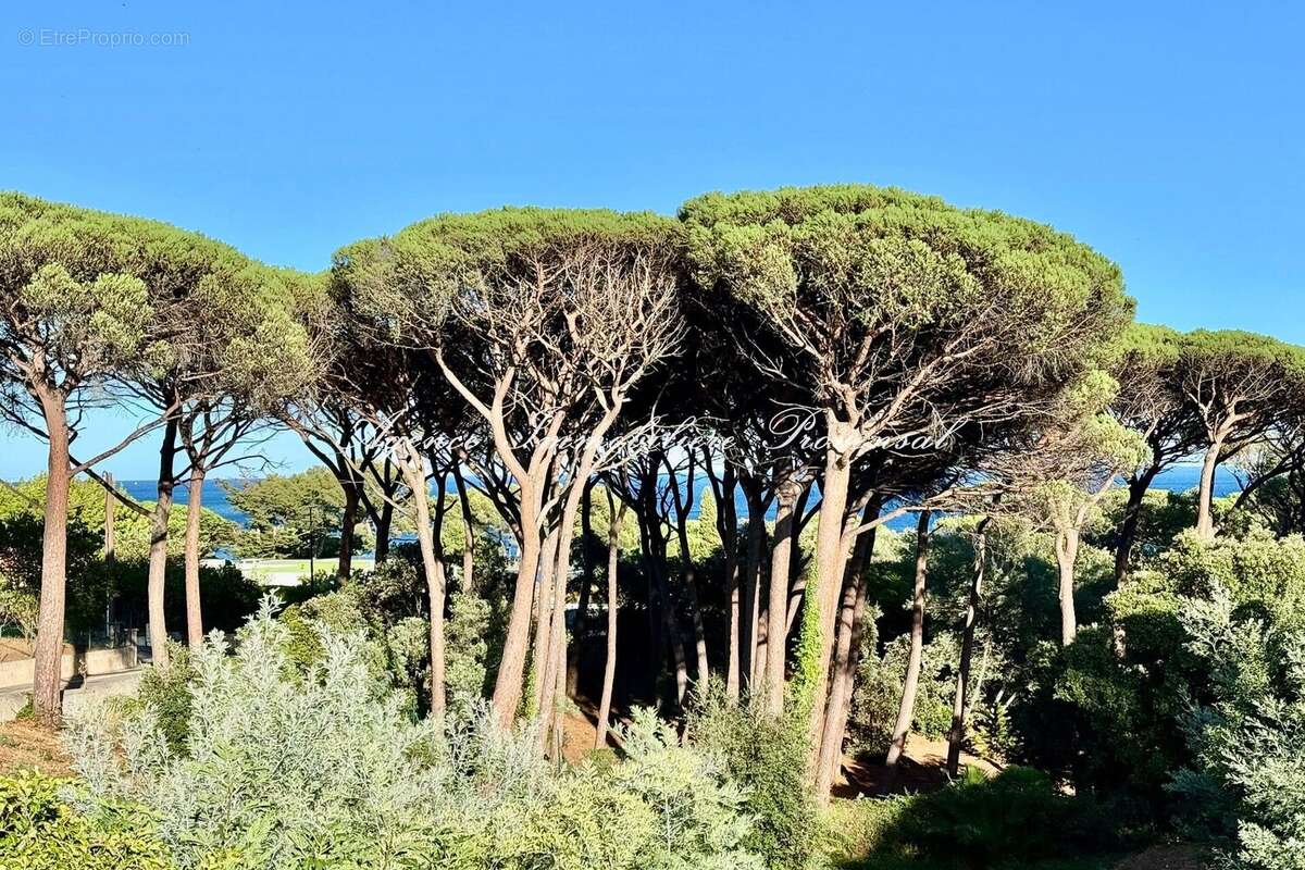 Appartement 87 m² à Sainte-Maxime  - photo 5