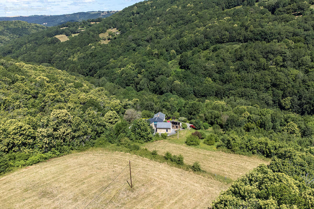 Ferme en pierre rénovée, piscine, gîtes indépendants et 6 hectares de nature préservée - photo 11