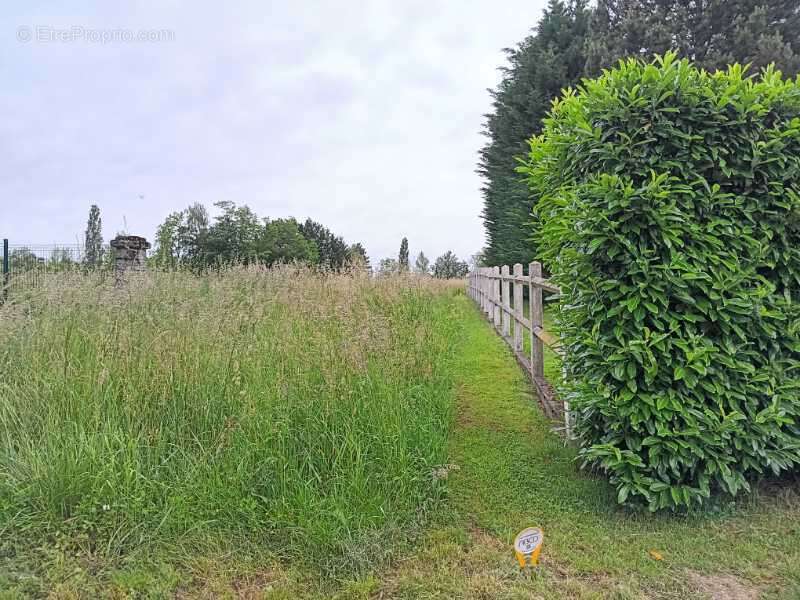 Terrain à VINCELLES
