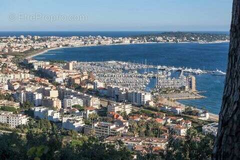 Maison 200 m² à Cannes  - photo 3