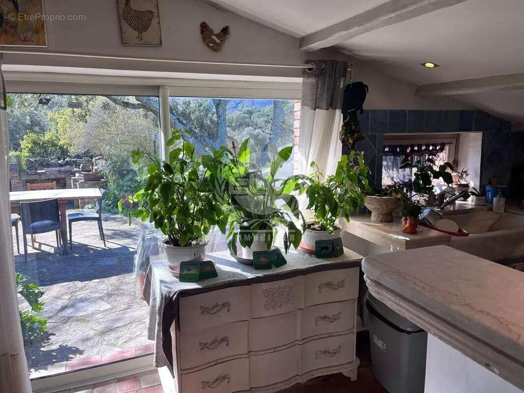 Maison à PLAN-DE-LA-TOUR