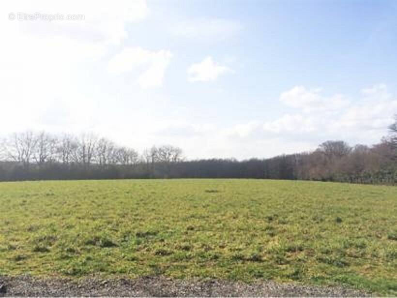 Terrain à NOUZILLY