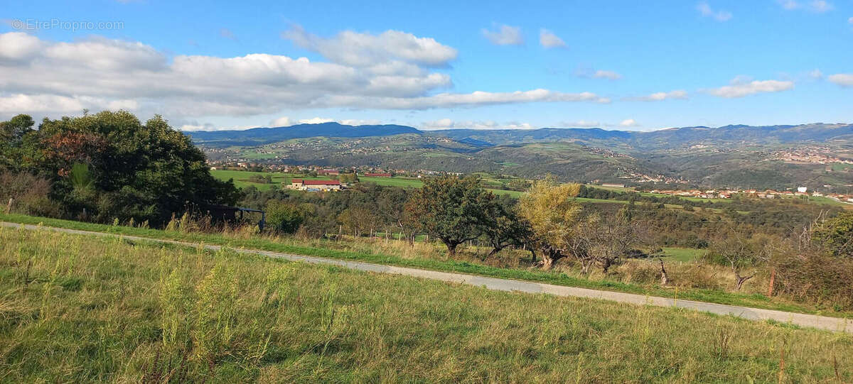 Terrain à CHATEAUNEUF