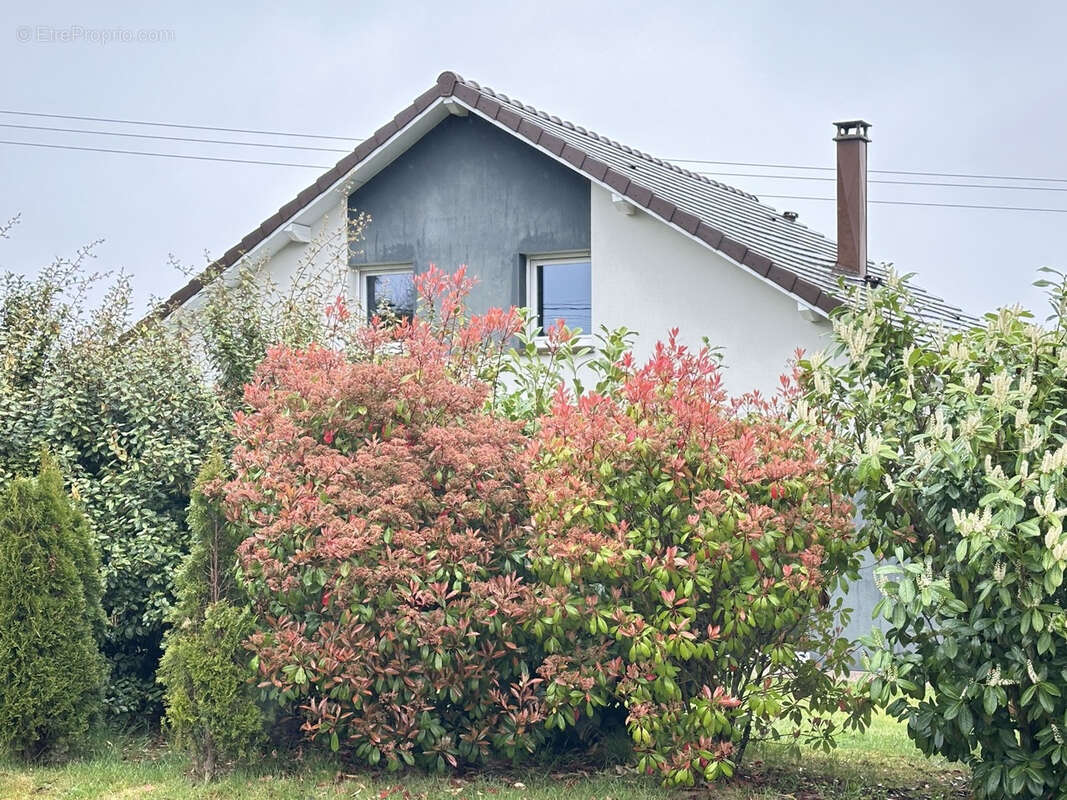 Maison à NOMPATELIZE