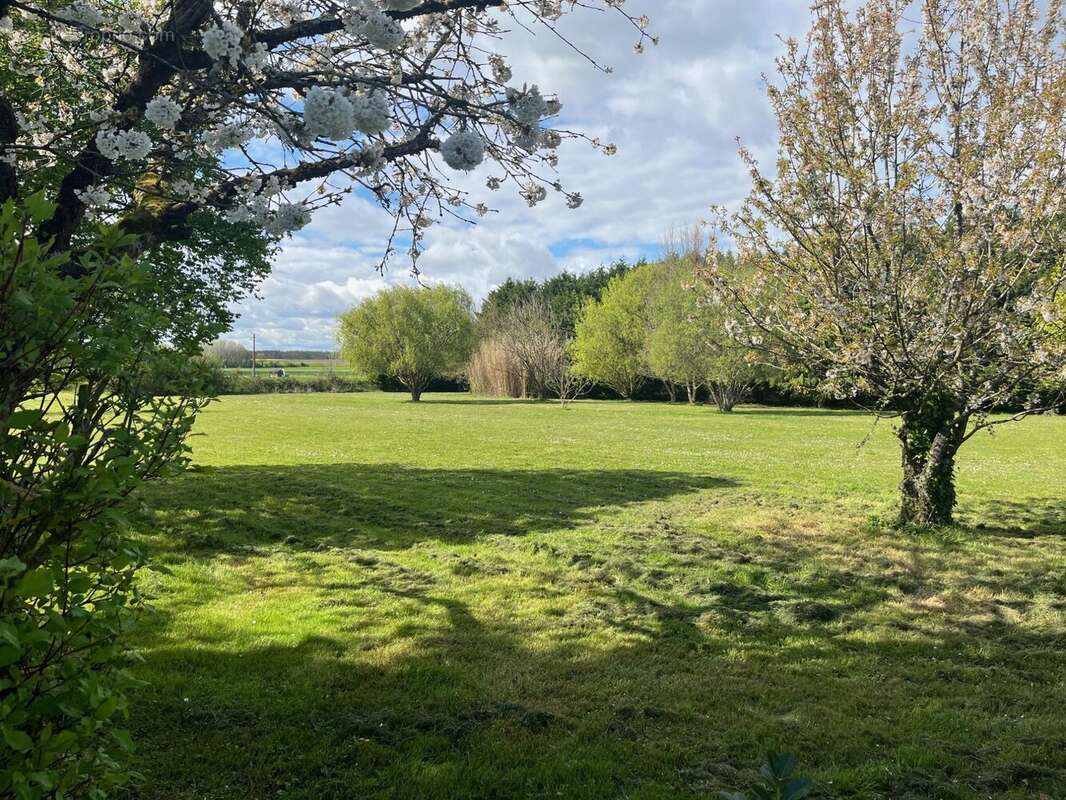 Maison à LE COUDRAY-MACOUARD