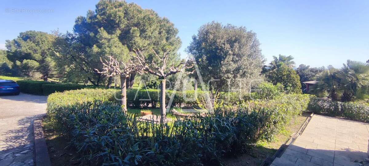 Maison à ARGELES-SUR-MER