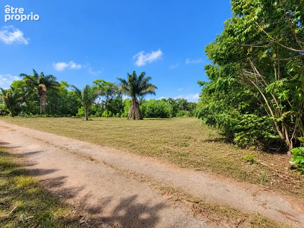 Terrain constructible de 1010 m² à vendre à Sainte Agathe - MACOURIA (973) - photo 2