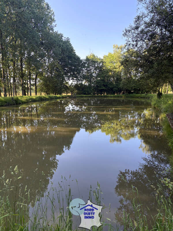 Terrain de loisirs avec plan d'eau - photo 2