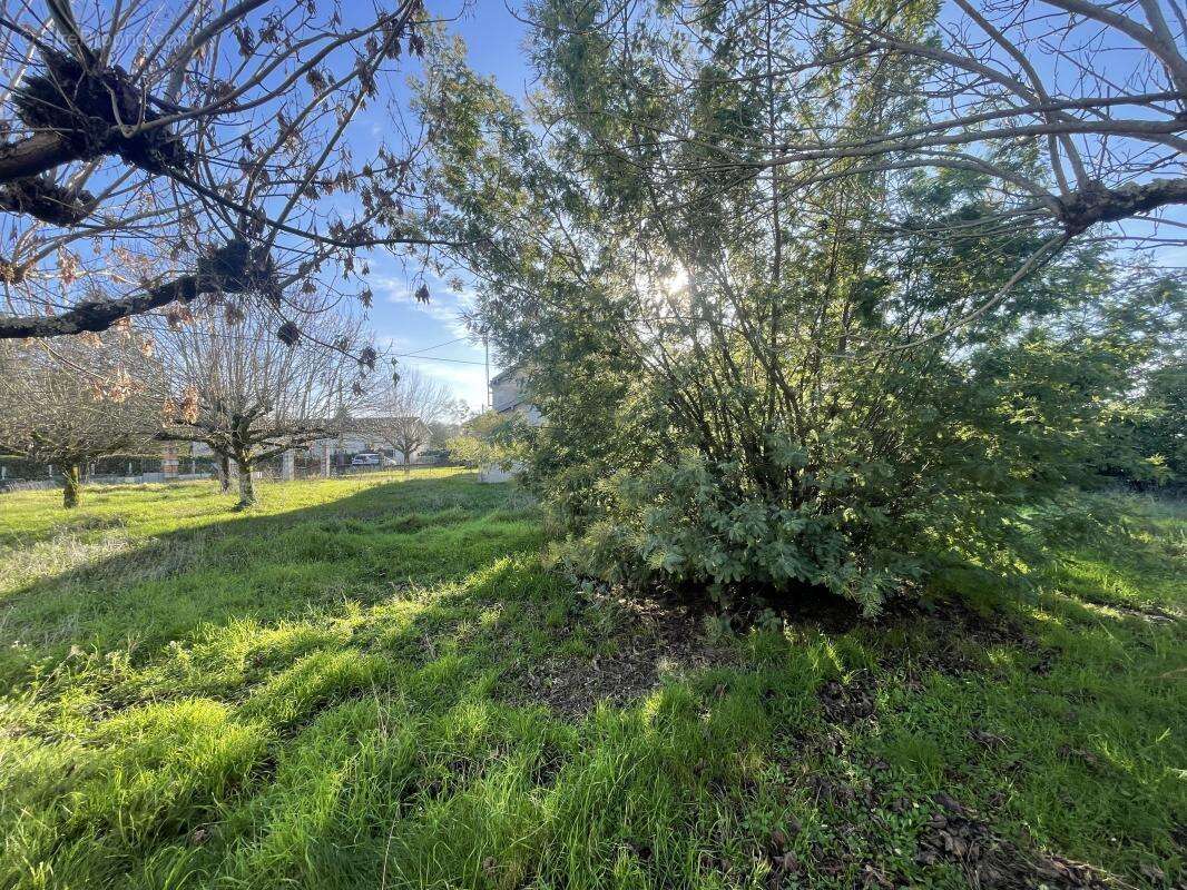 Terrain à MARTIGNAS-SUR-JALLE