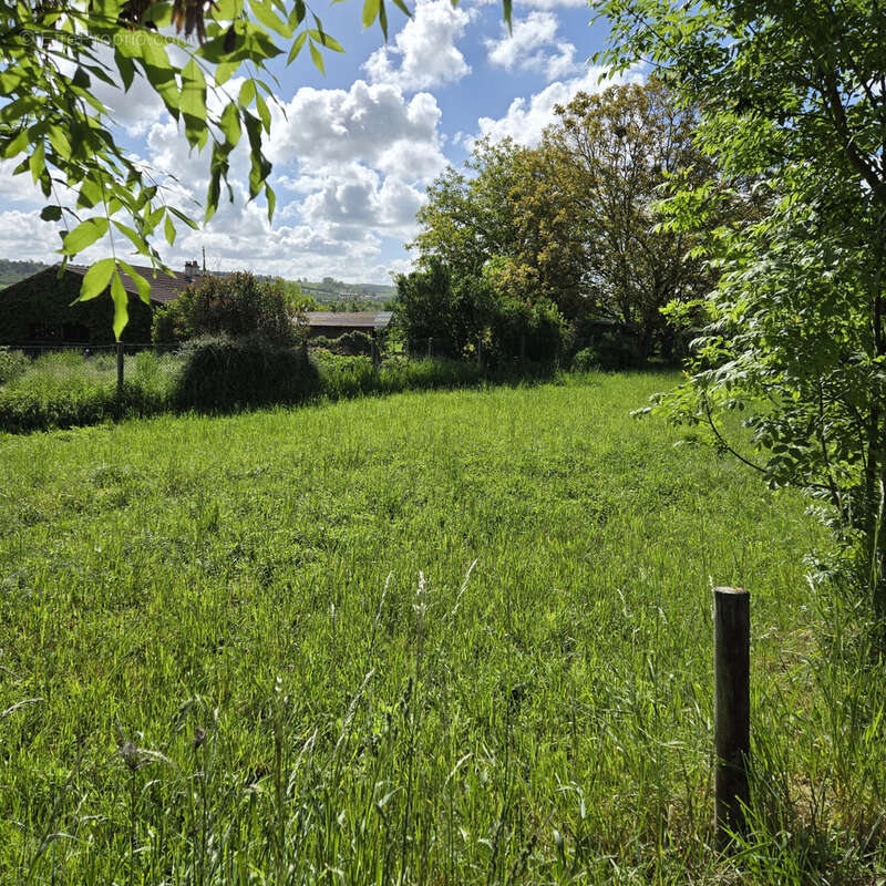 Terrain à TANTONVILLE