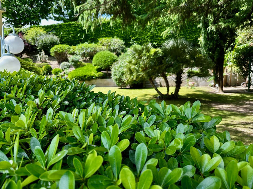 Maison à LA VOULTE-SUR-RHONE