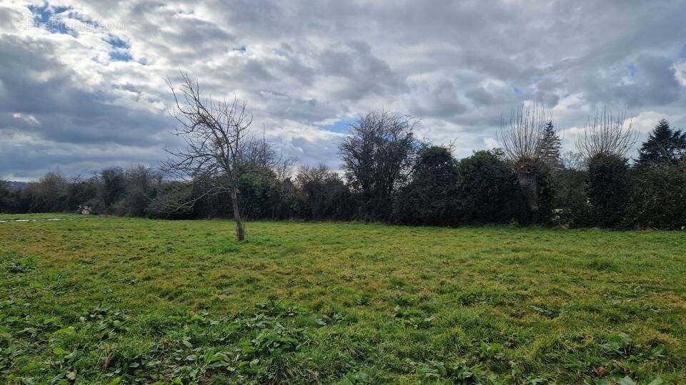 Terrain à SAINT-MARTIN-AUX-CHARTRAINS