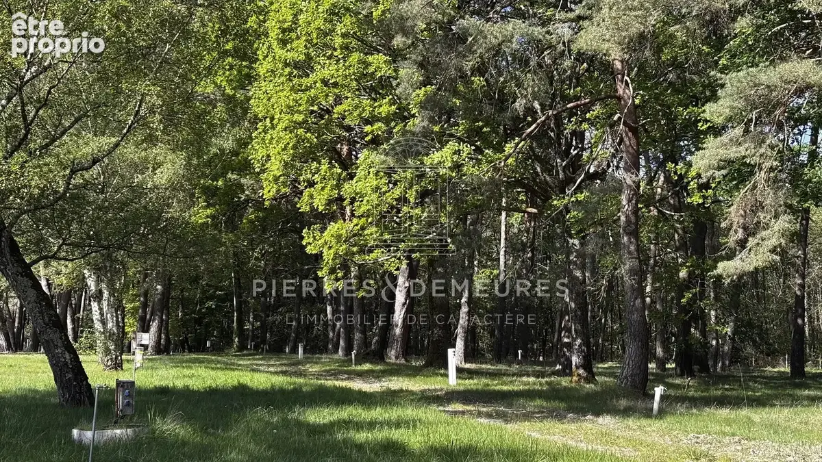 Site d'acceuil hebergement sur parc boise - photo 22
