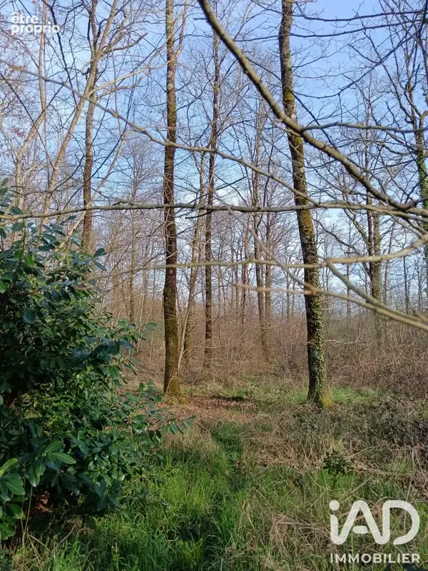 Photo 1 - Terrain à SAINTE-GEMME