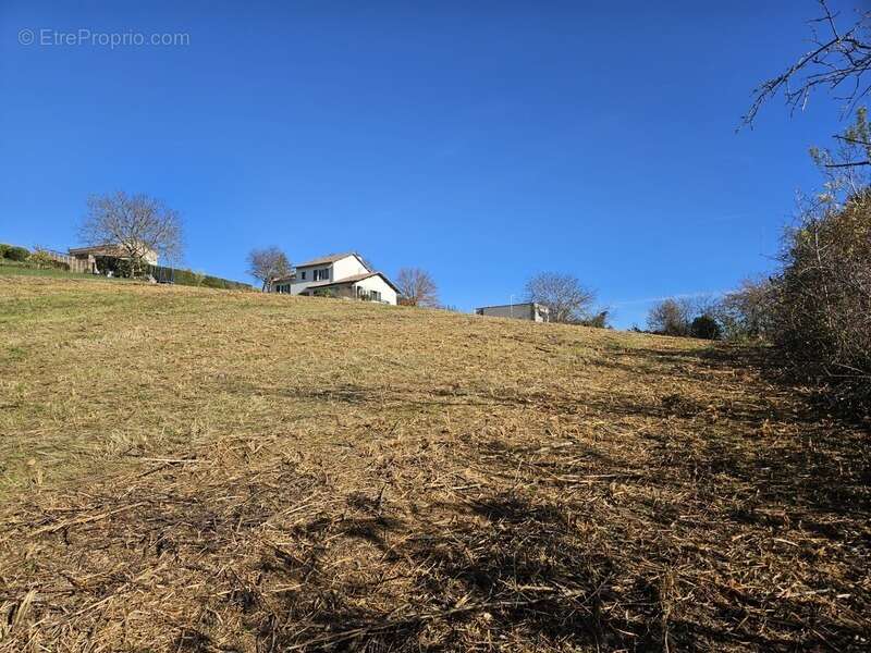 Terrain à VEYRE-MONTON
