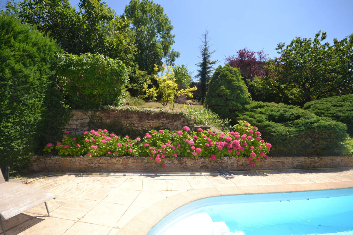 Maison à MONTMELAS-SAINT-SORLIN
