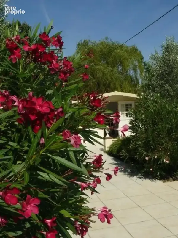 Dpt Haute Garonne (31), à vendre SAINT JULIA maison P8 de 287 m² - Terrain de 4680  - Plain pied - photo 37