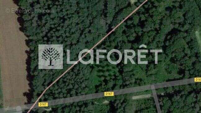 Terrain à NEANT-SUR-YVEL