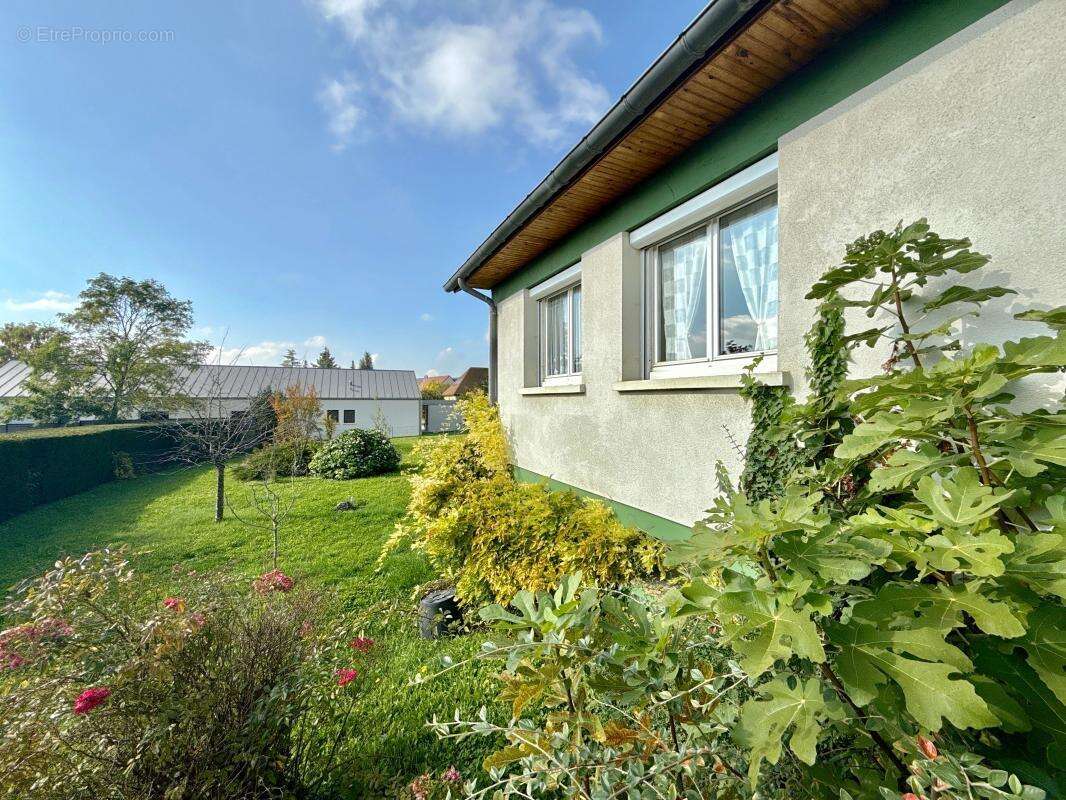 Maison à MARSANNAY-LA-COTE