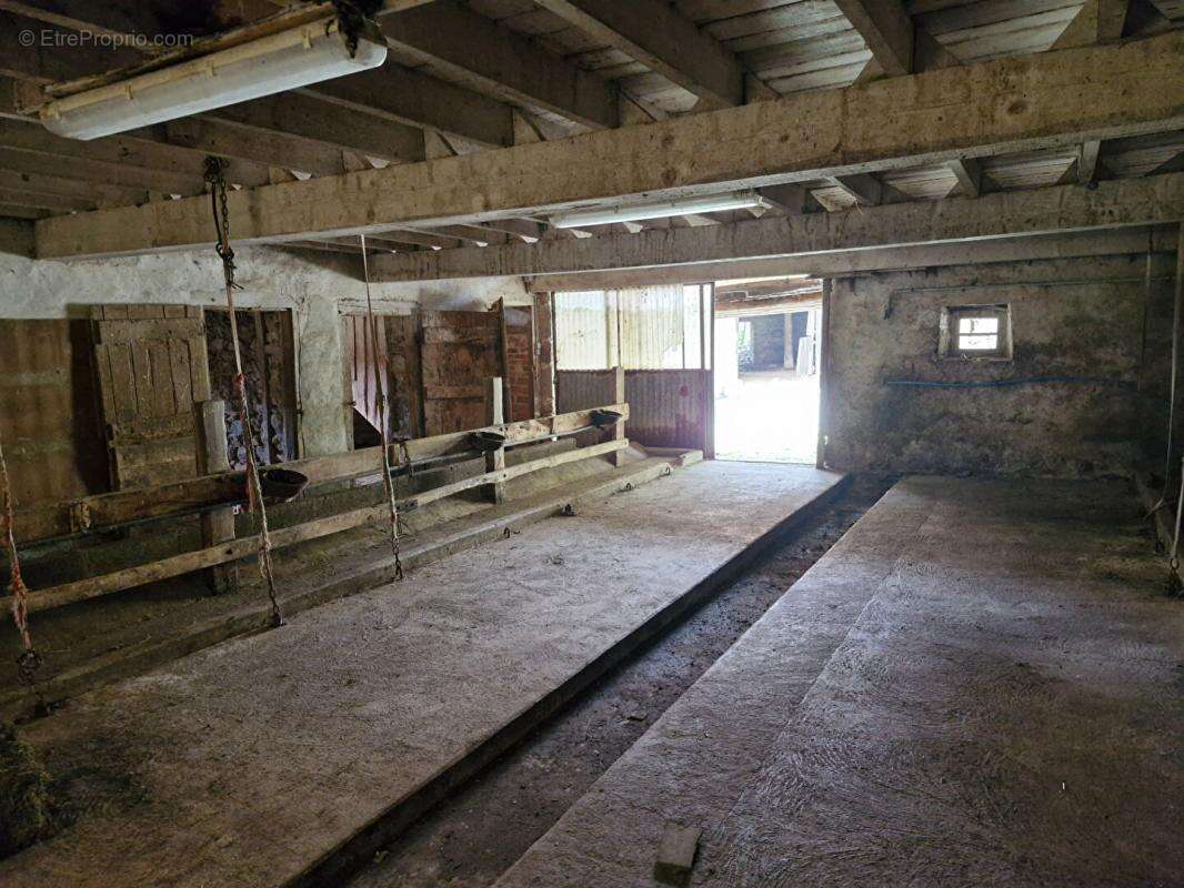 St just en chevalet - corps de ferme - photo 10