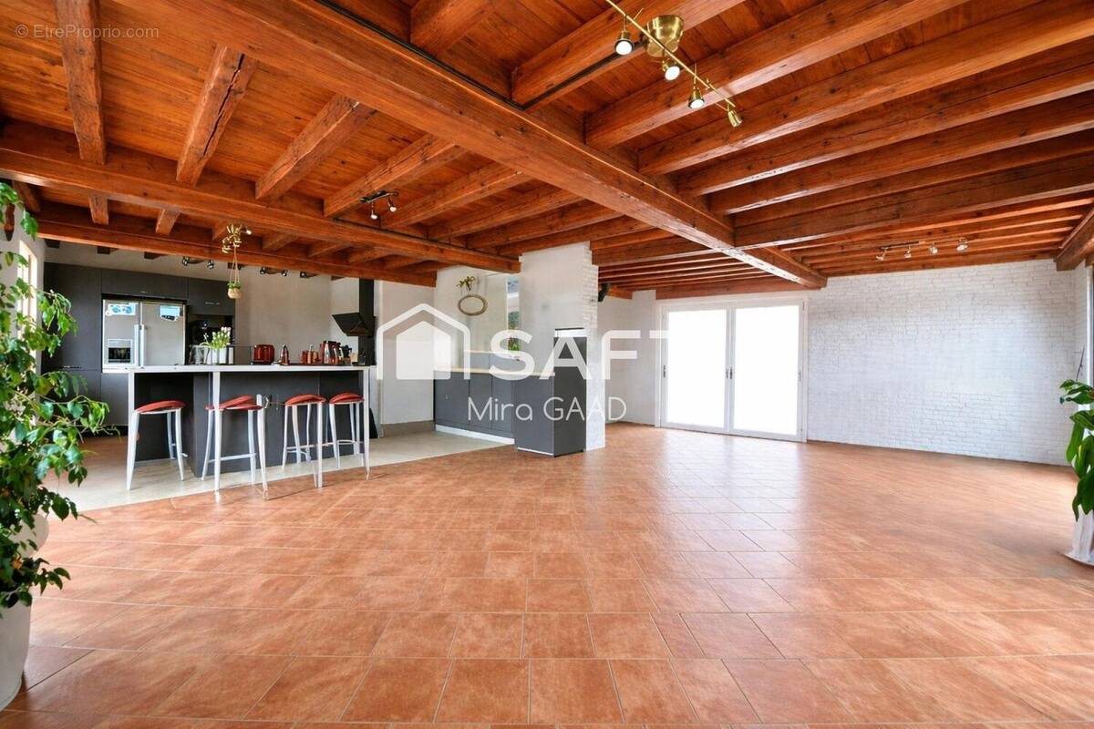 Photo 1 - Maison à LISLE-SUR-TARN