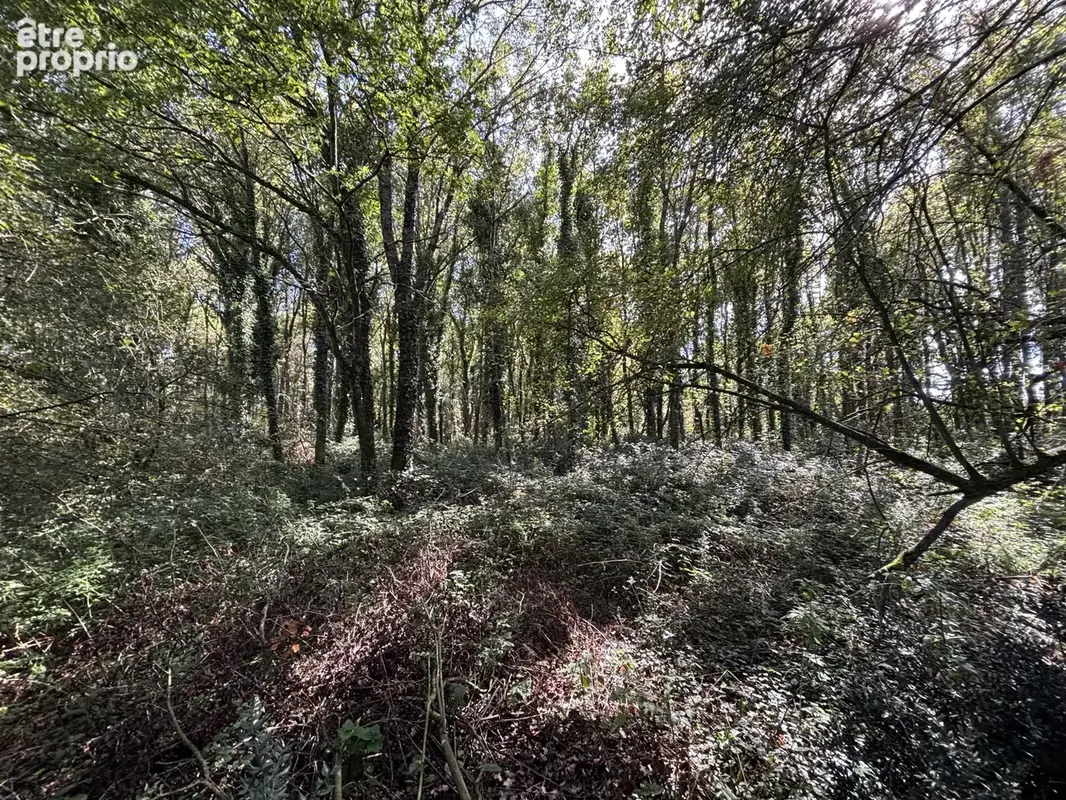 'Un écrin de verdure préservé, rare et recherché aux portes du bourg.' - photo 3
