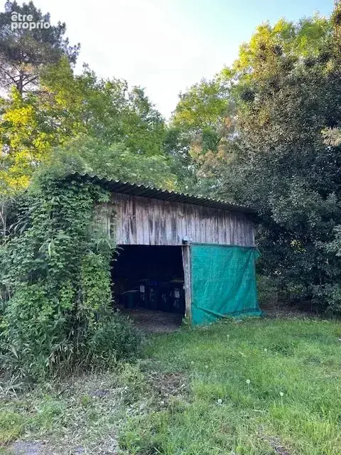 MIOS Maison ancienne 1877 à rénover  3000 m² de terrain - photo 14