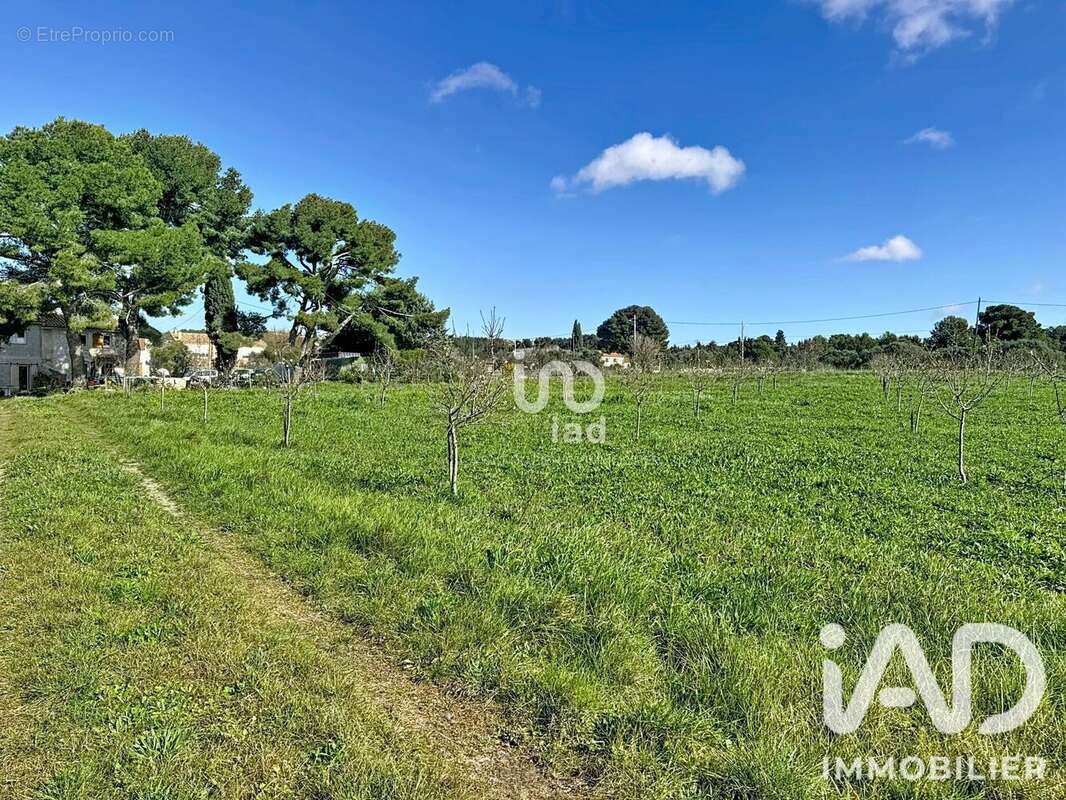 Maison 170 m² à Martigues  - photo 2