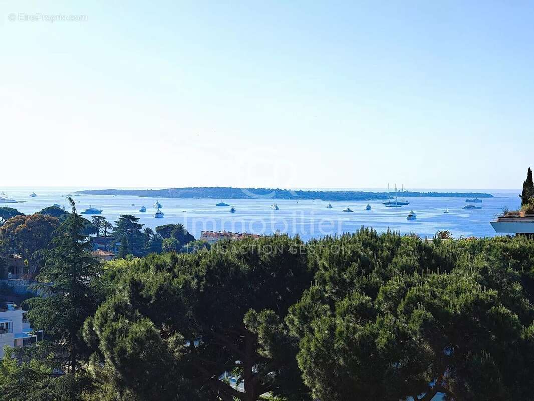 Appartement à CANNES