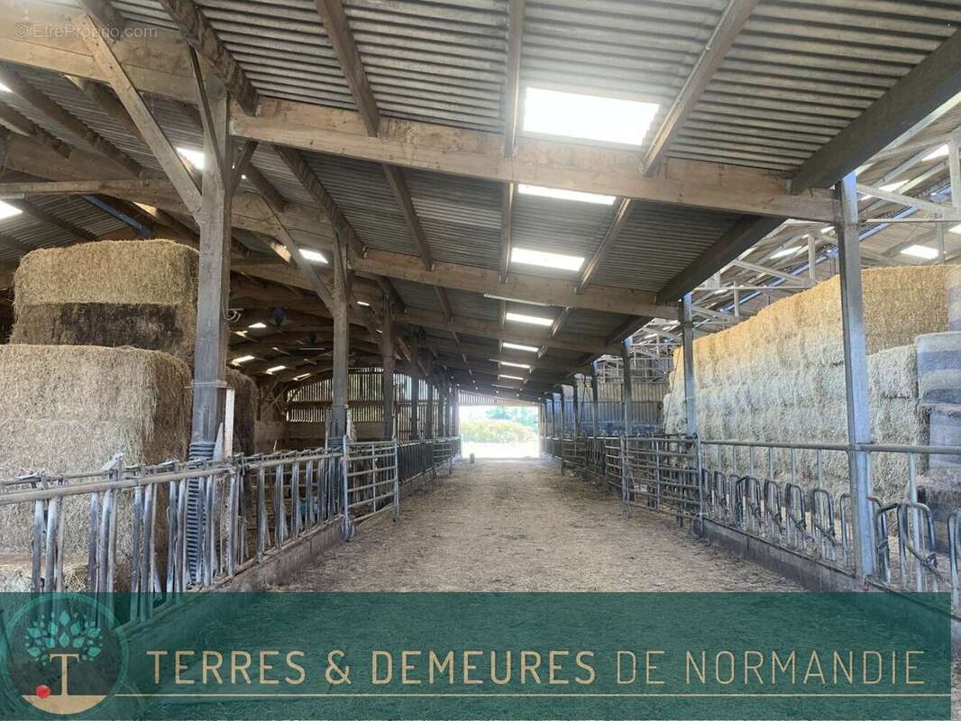 A VENDRE en NORMANDIE dans le département du CALVADOS région LE MOLAY-LITRY (14330) une exploitation agricole herbagère d'une su - photo 17