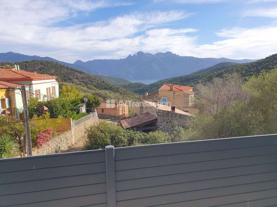 Maison à OSANI