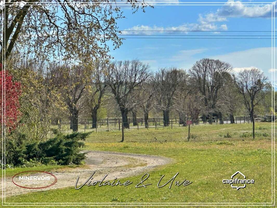 Domaine d'exception du XVIIIᵉ siècle – 625 m² habitables – 3,8 hectares – Un lieu unique au cœur du Lauragais - photo 12