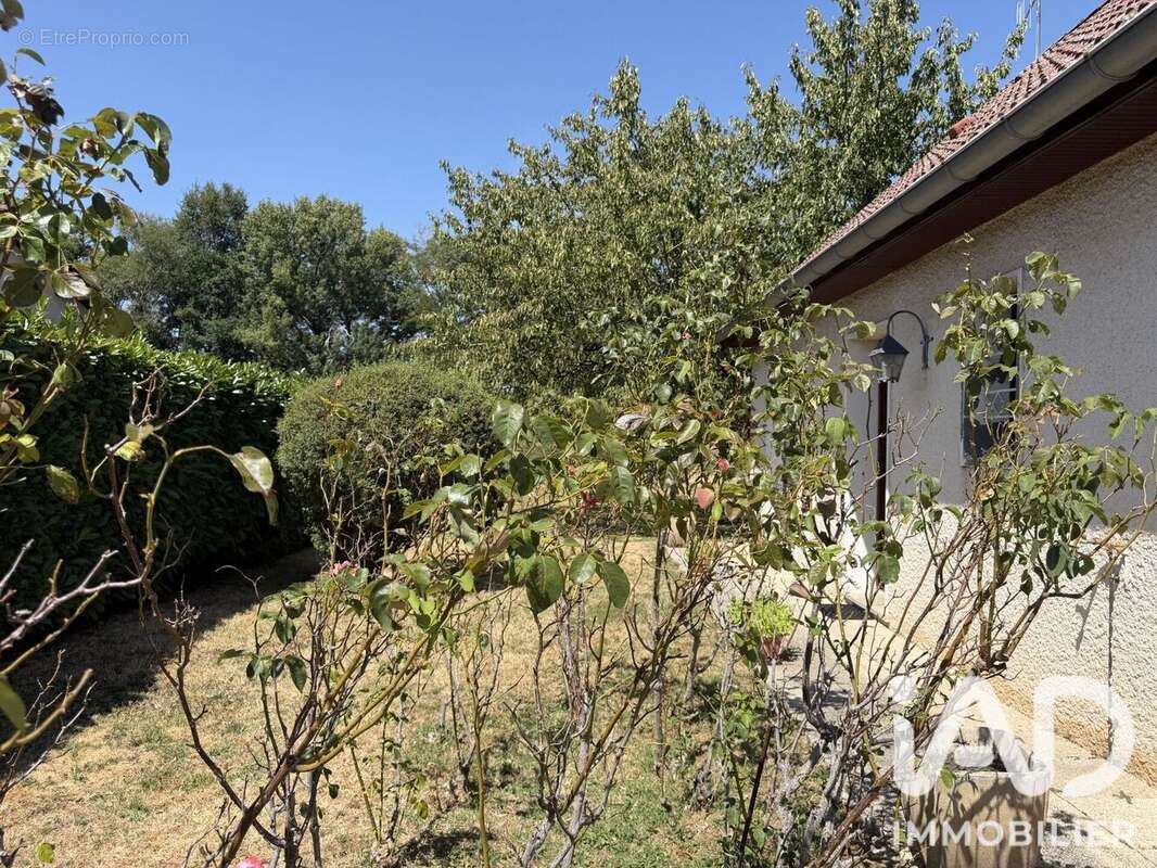 Maison 88 m² à Cercie  - photo 4