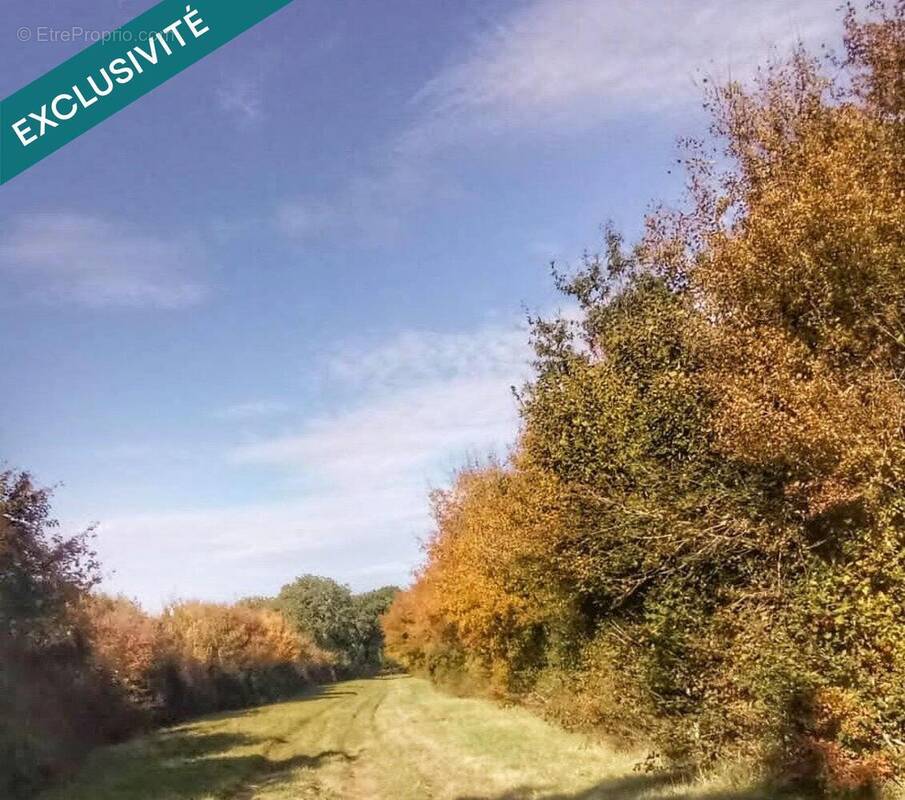 Photo 1 - Terrain à BENON