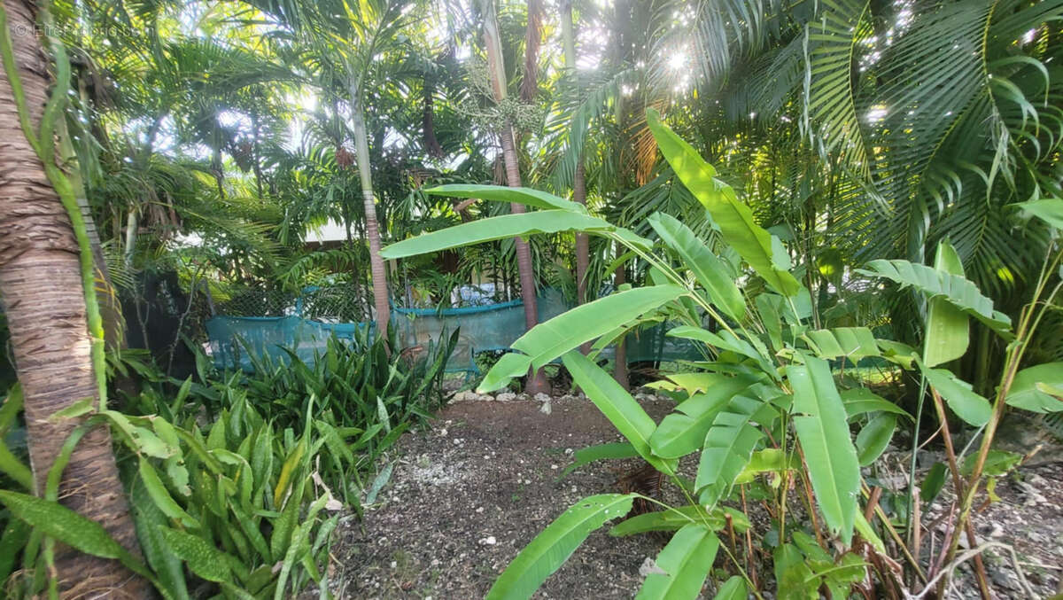 Maison à SAINT-FRANCOIS