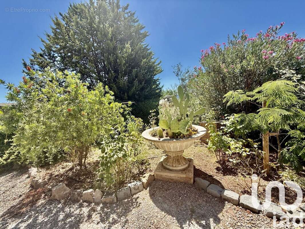 Photo 3 - Maison à LE CANNET-DES-MAURES