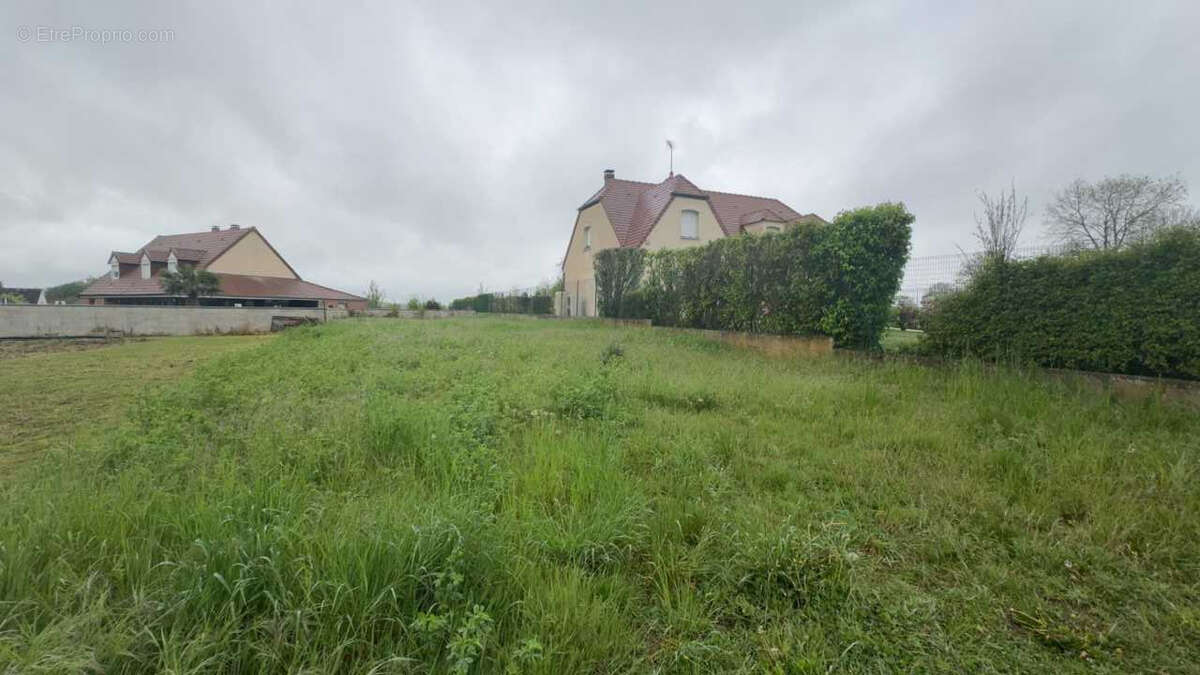 Terrain à CRECY-SUR-SERRE