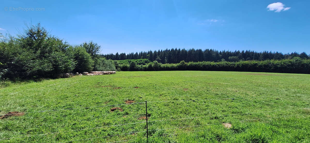 Maison à BUSSY-EN-OTHE