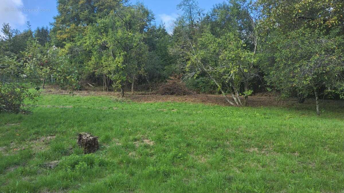 Maison à PONT-DE-ROIDE