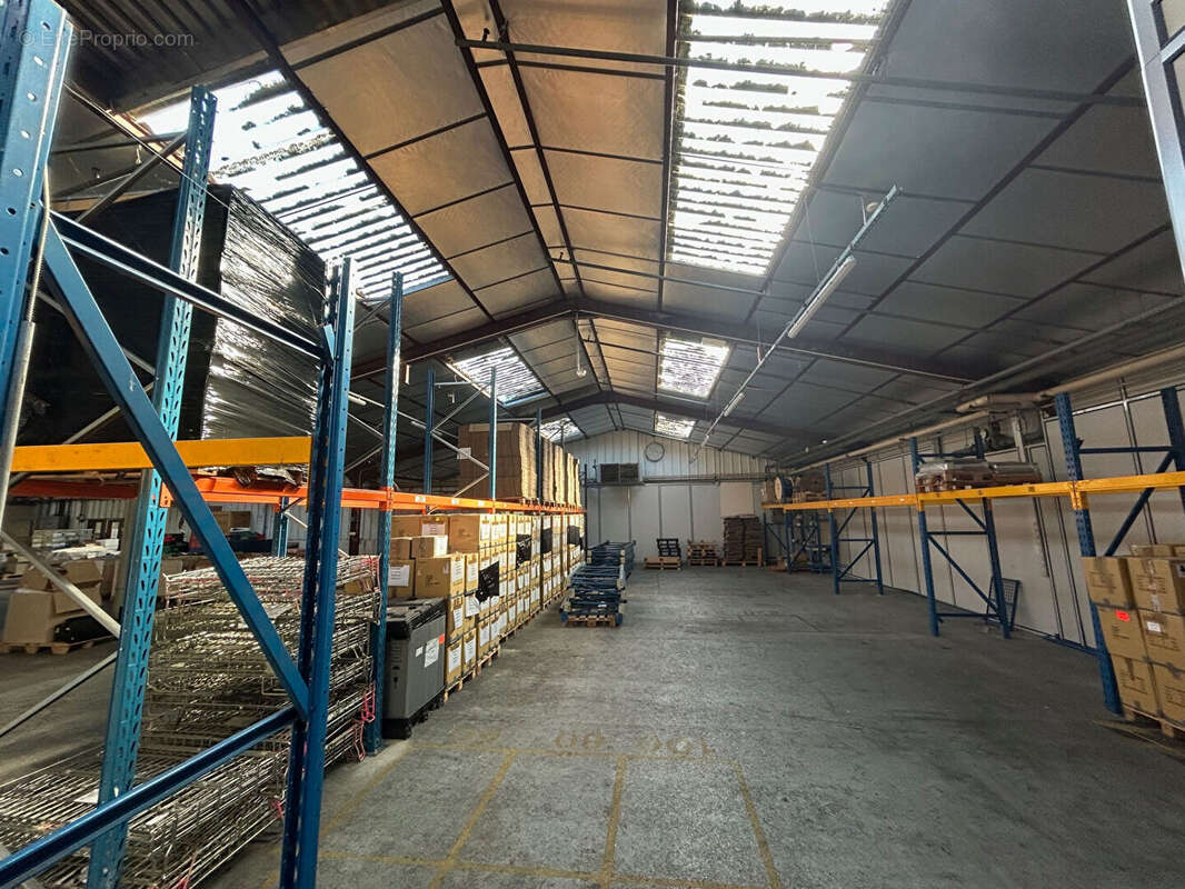 Commerce à DOUARNENEZ