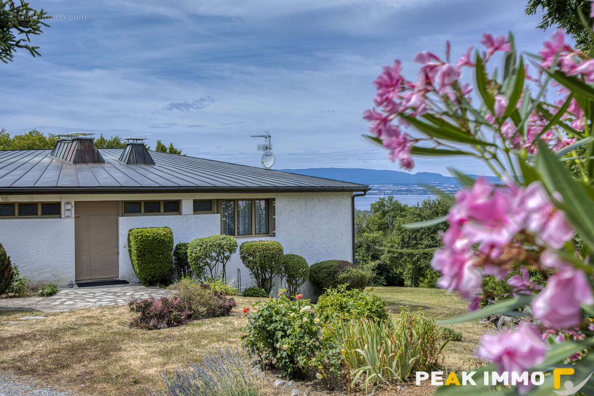 Villa d'architecte avec vue sur le lac Léman - photo 5