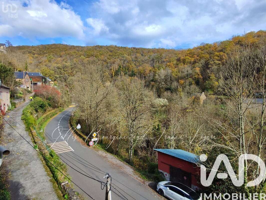 Photo 5 - Maison à SAINT-LAURENT-D'OLT