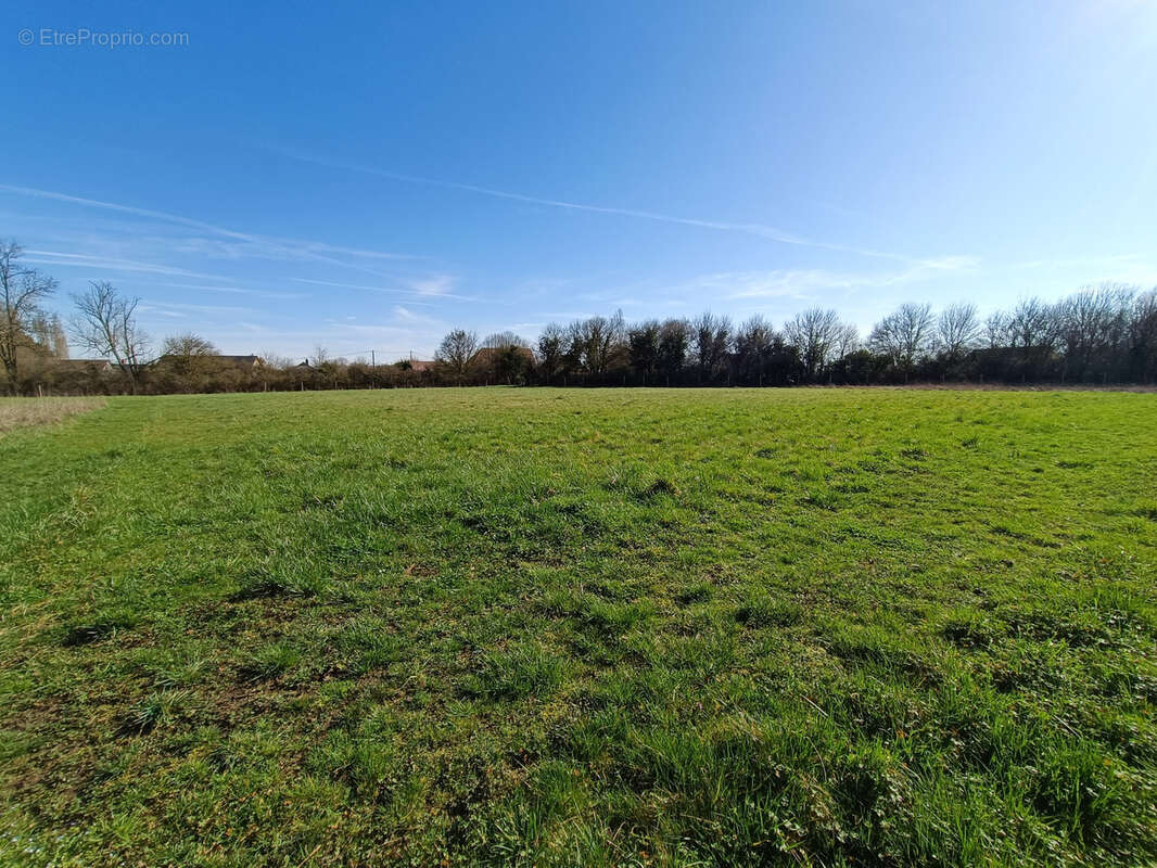 Terrain à COUY