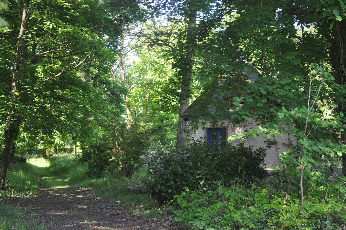 Maison à BRESSOLLES
