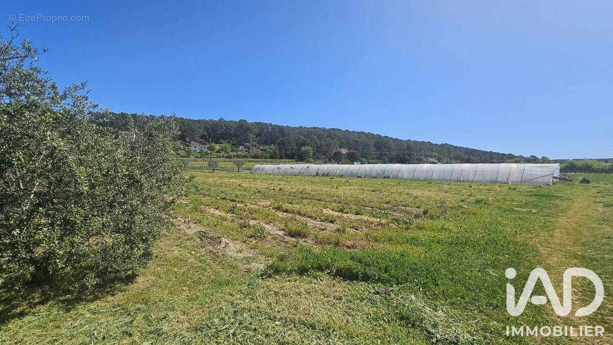 Photo 1 - Commerce à LORGUES