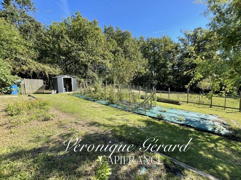 Maison à ORIGNOLLES