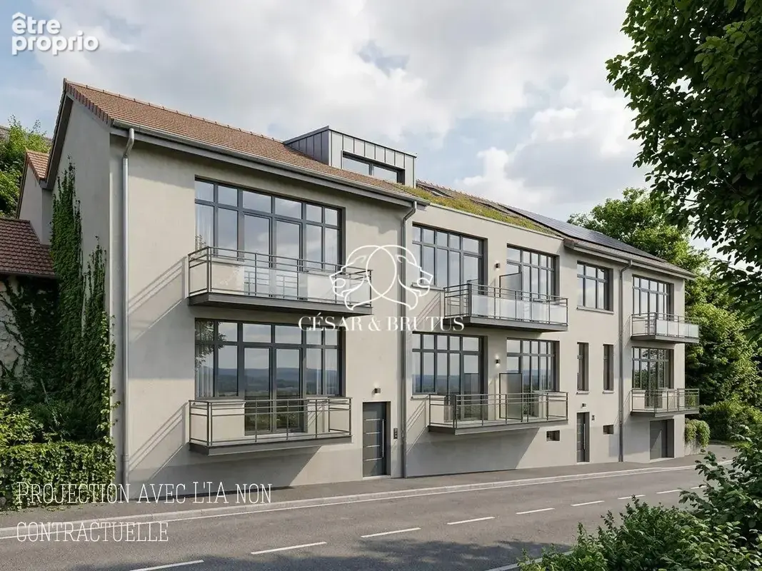 Appartement 1 200 m² à vendre à Thizy (69240) - photo 2