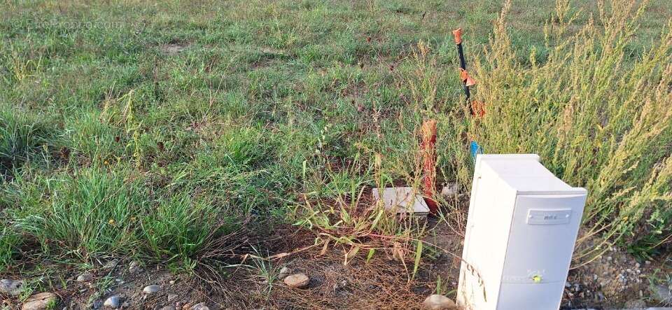 Terrain à PINS-JUSTARET