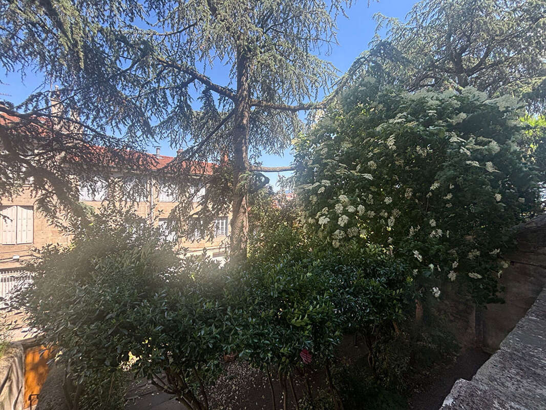 Montaud f2 au calme avec terrasse - photo 4